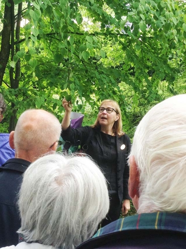 Stadsparken 15 juni 2016.jpg